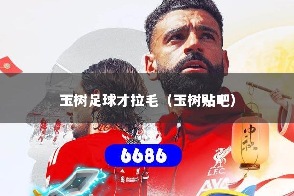 玉树足球才拉毛（玉树贴吧）