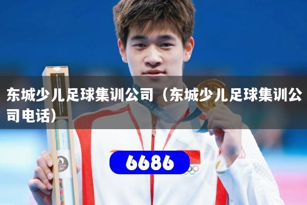 东城少儿足球集训公司(东城少儿足球集训公司电话)